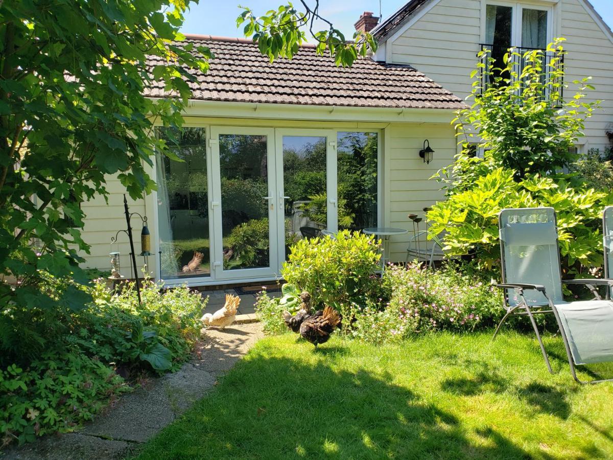 Luxury Self Catering With Cosy Cabin & Sauna In Colchester Kültér fotó